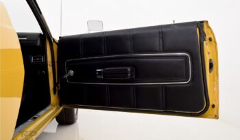 Ford Ranchero voll
