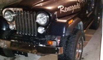 Jeep Cj7 voll
