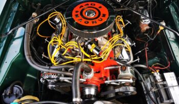 Dodge Charger voll