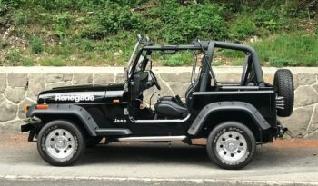 Jeep Wrangler YJ voll