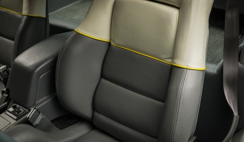 Ford Mustang voll